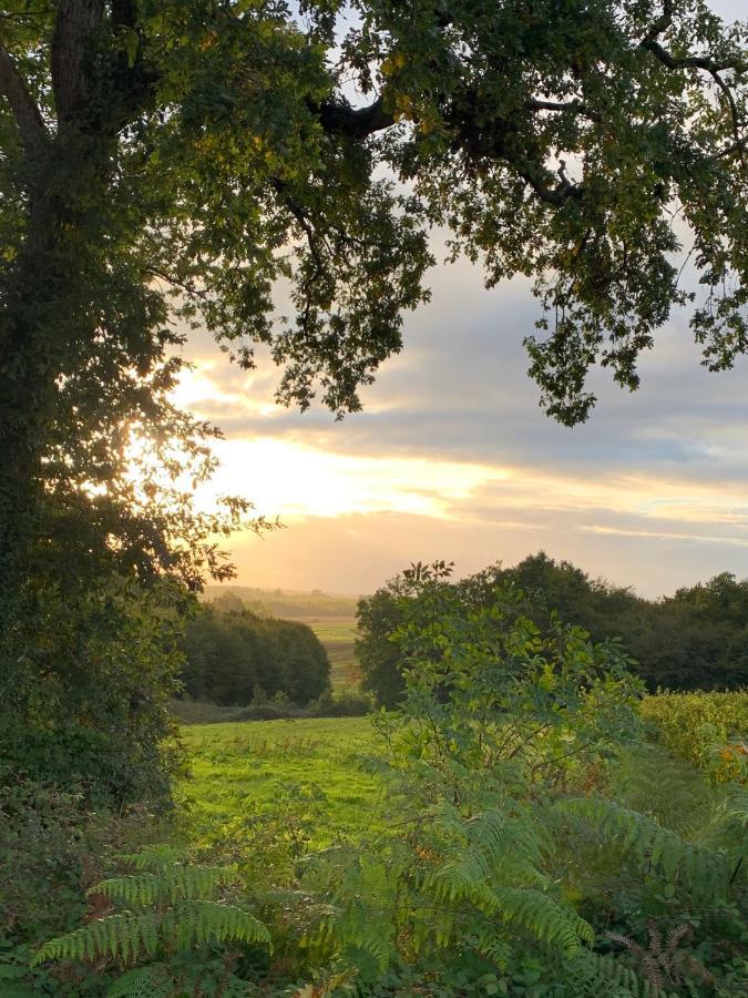 Majellon, Appartement A L'Ouest Sainte-Christie-d'Armagnac Экстерьер фото